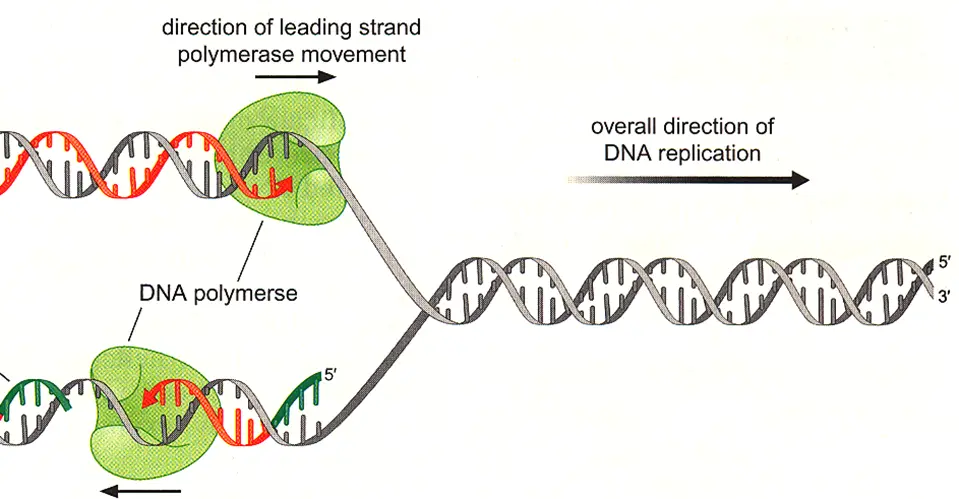 化妆品护肤品厂家