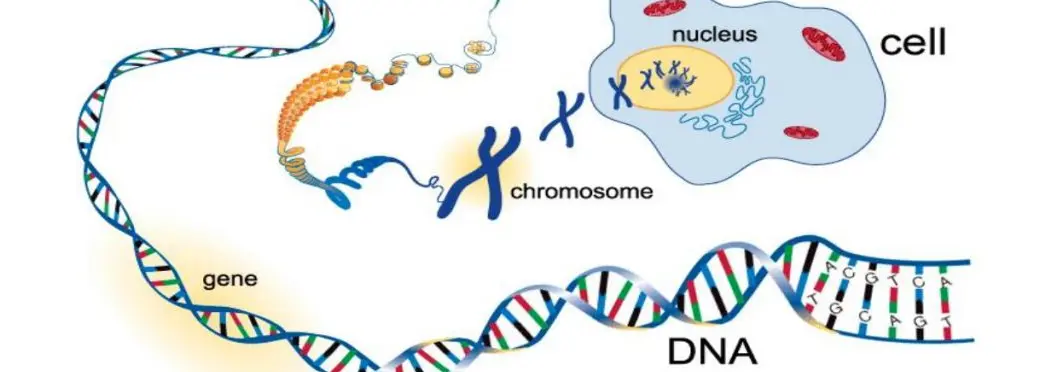 护肤品生产厂家