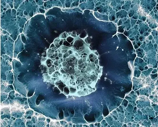 化妆品生产厂家