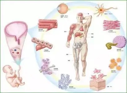 护肤品生产厂家