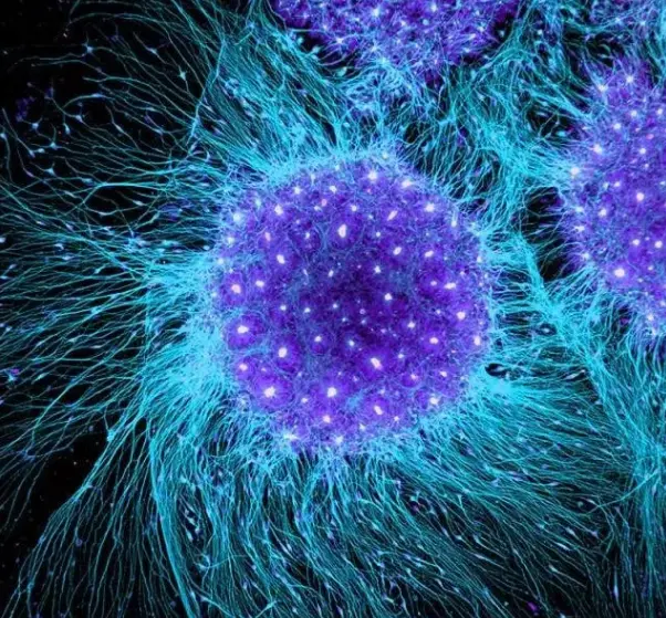 化妆品oem厂家加工