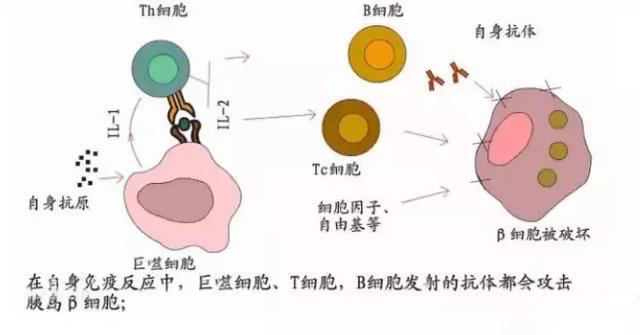 贴片面膜加工厂