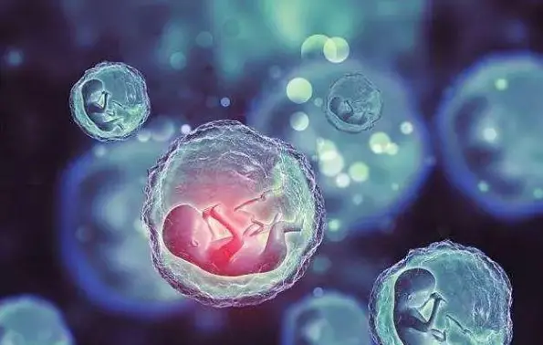 化妆品代加工生产厂家