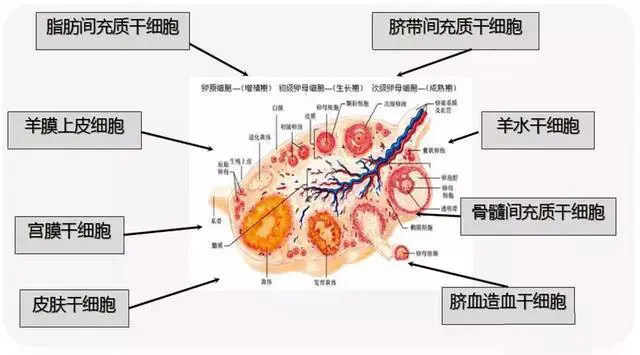 化妆品生产厂家