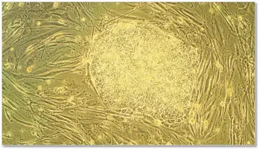 国内化妆品生产商oem