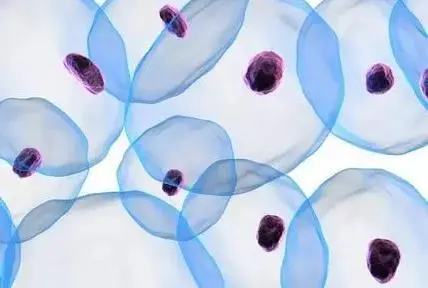 化妆品定制厂家电话