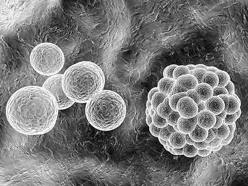 怎样找化妆品代加工