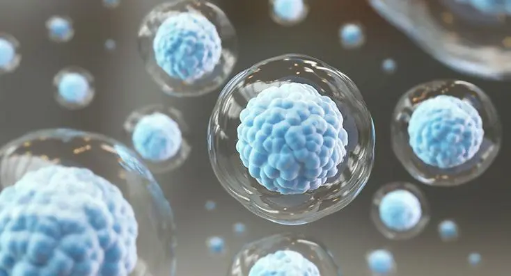 国内化妆品oem加工厂