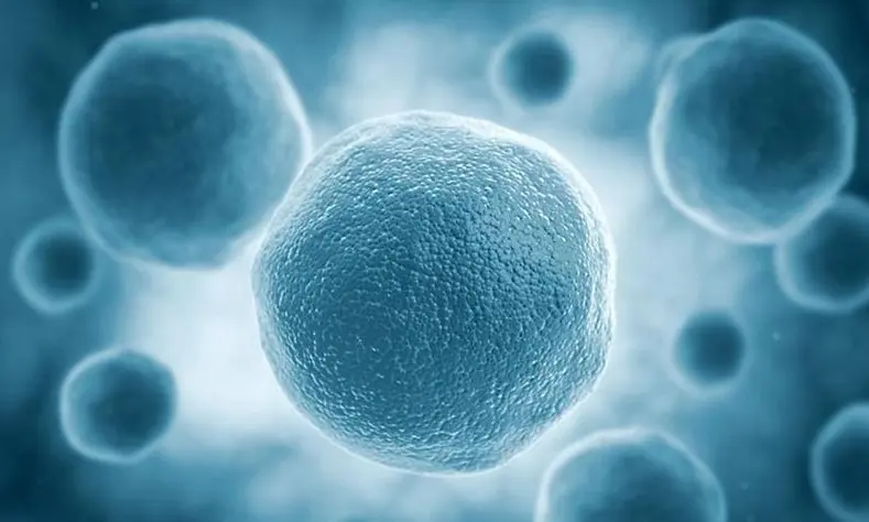 护肤品生产加工