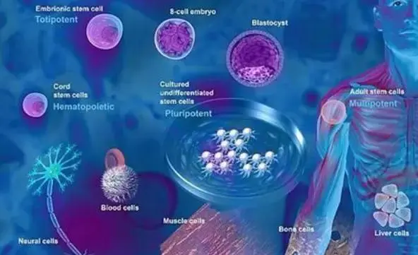 生产护肤品的工厂