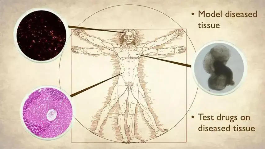 国内化妆品代加工
