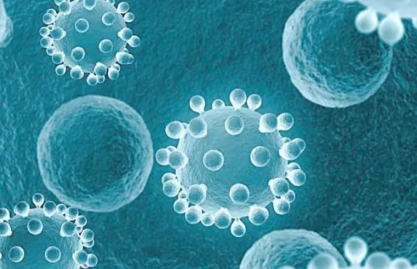 加工生产护肤品