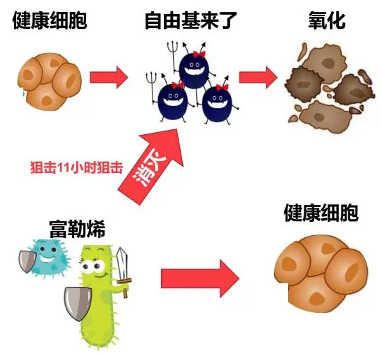 知名化妆品oem厂家