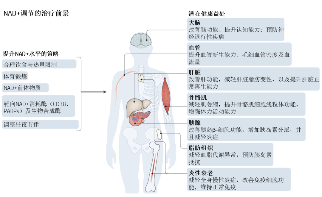 面膜oem生产加工