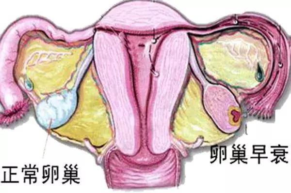 面膜oem加工价格