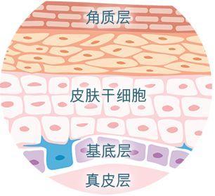 面膜加工厂家代工