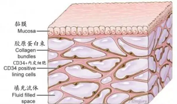 化妆品OEM代加工生产