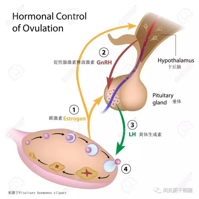 生产化妆品加工