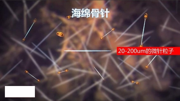 护肤品加工厂家