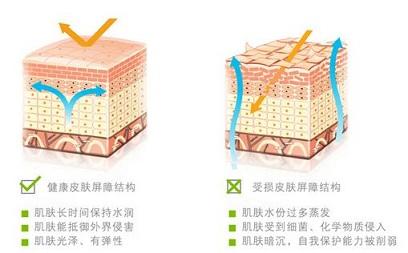 胶原蛋白面膜代加工
