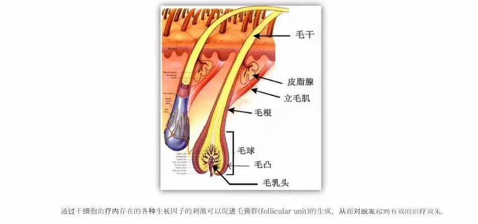 珠海化妆品生产加工