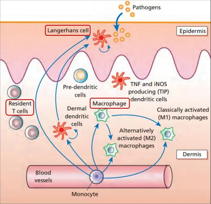工厂生产化妆品
