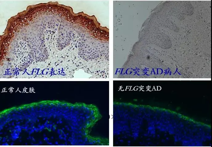 生产出口化妆品
