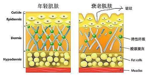 专业面膜加工厂
