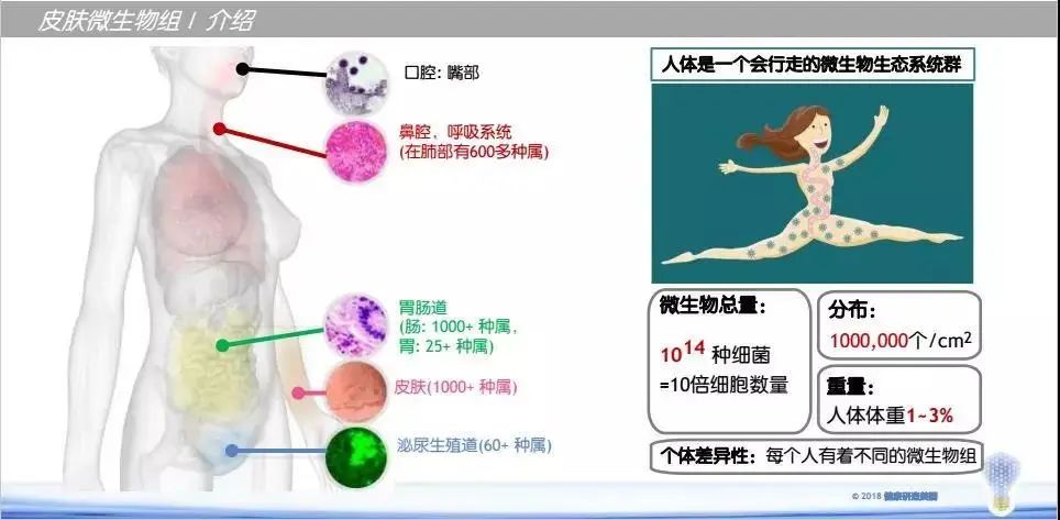 化妆品oem的成本