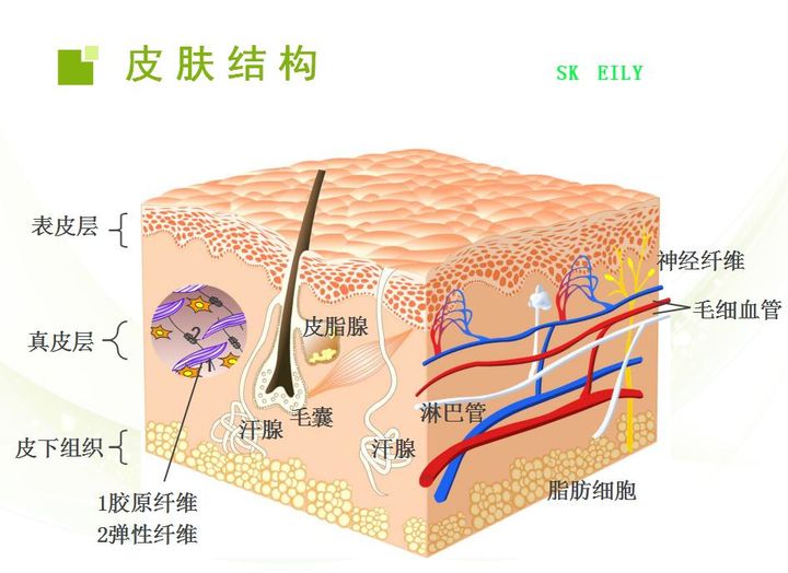 化妆品生产加工费用
