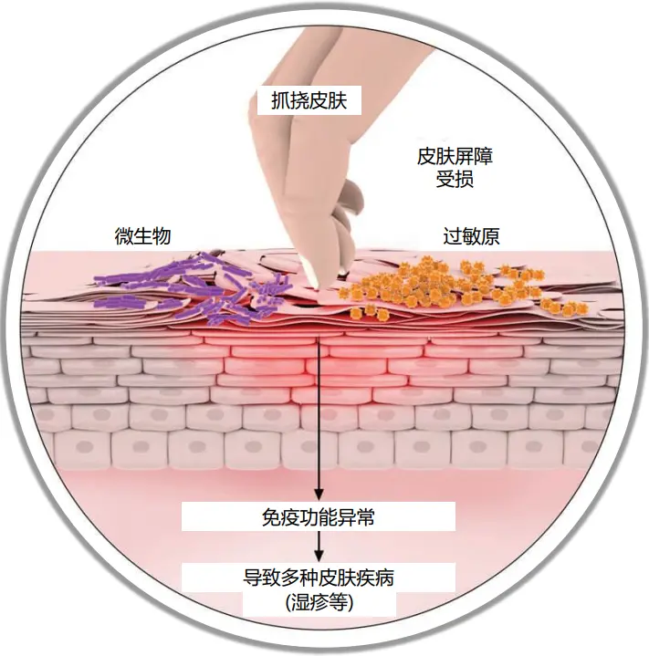 化妆品喷雾代加工