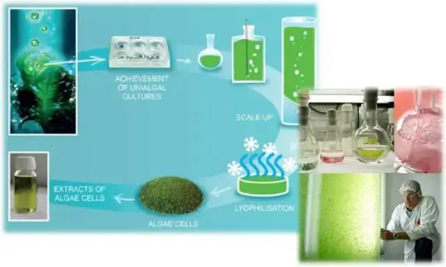 oem代加工面膜厂