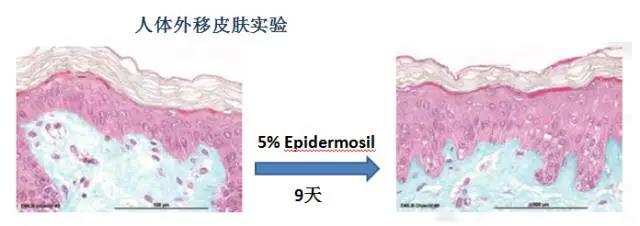 资深的抗皱面膜oem