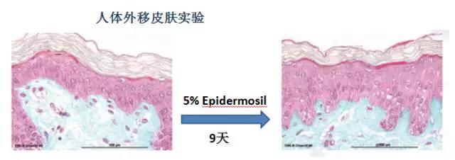 补水面膜加工厂家