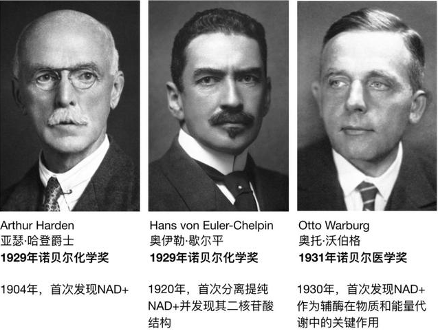 抗衰化妆品厂家
