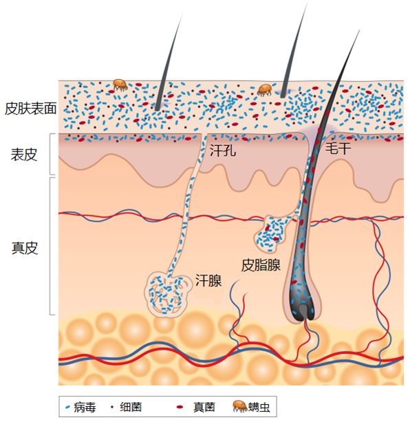 术后修复面膜贴牌加工