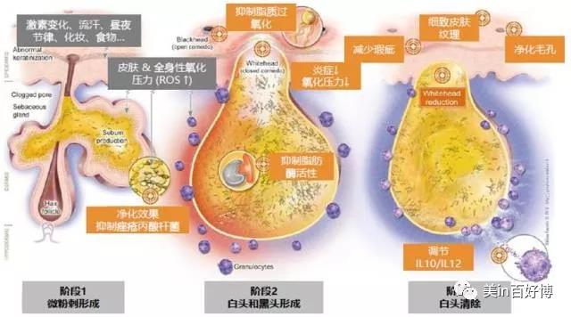 修护面膜生产
