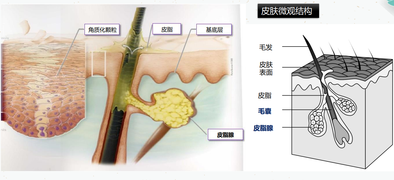 去痘印护肤品生产商
