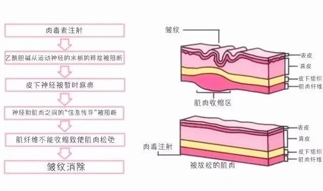 广州抗衰化妆品生产厂家