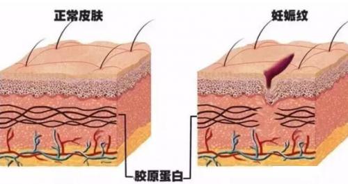 孕妇化妆品厂家