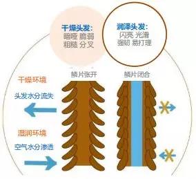 找生产化妆品厂家