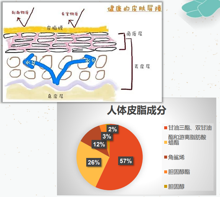珠海化妆品oem厂