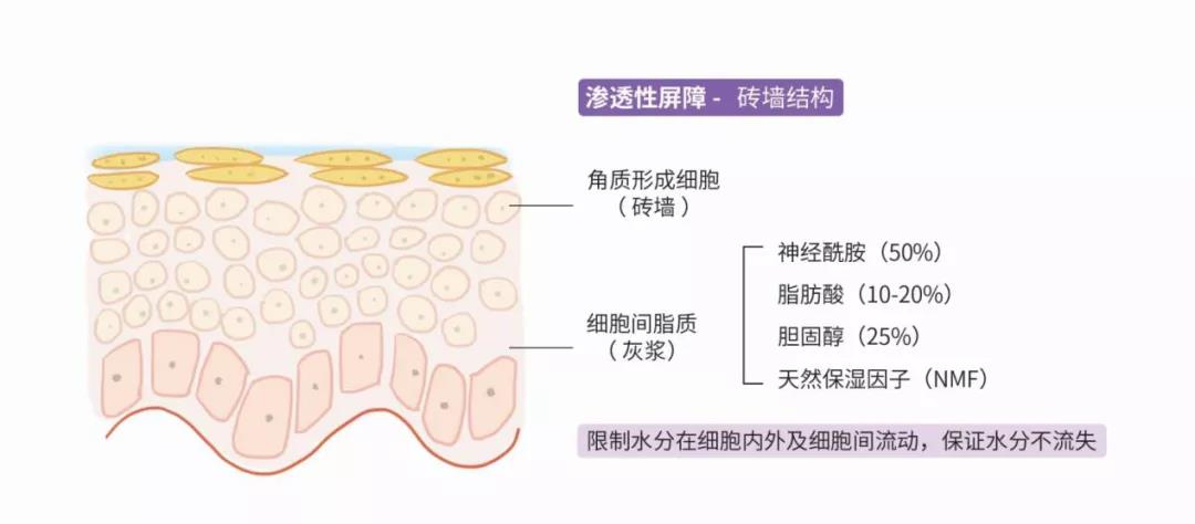 oem代加工厂厂化妆品