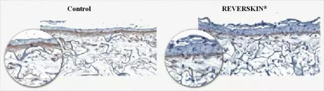 oem化妆品科技有限公司