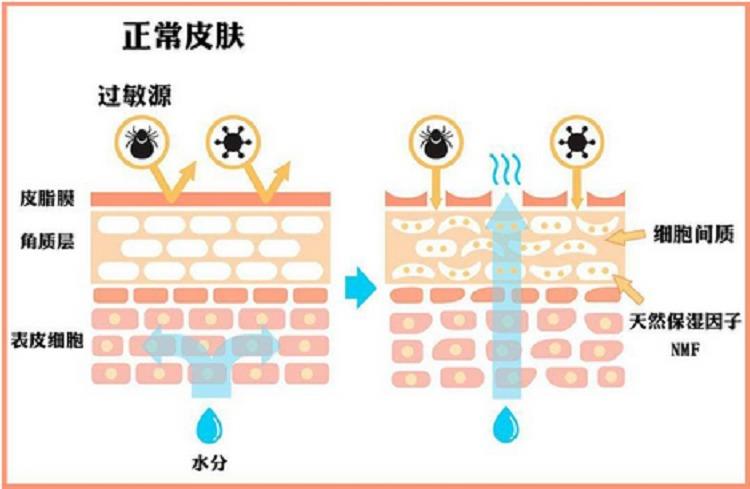 化妆品代工的oem厂家