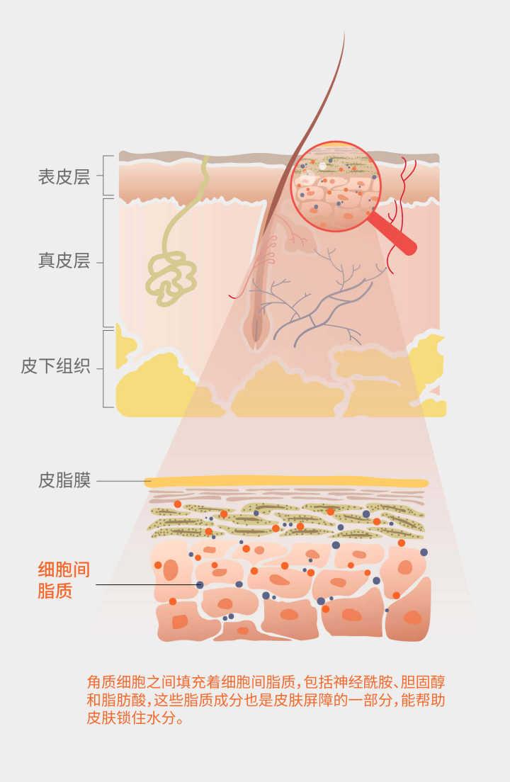化妆品公司oemodm