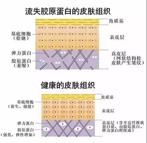 化妆品委托工厂生产