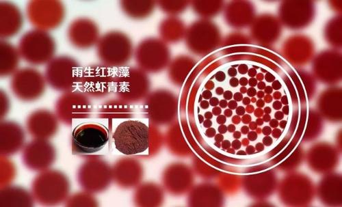 oem贴牌化妆品工厂