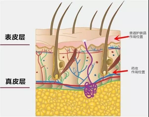 比较出名的化妆品oem工厂