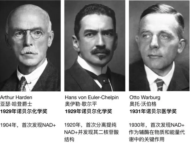 化妆品中国生产基地